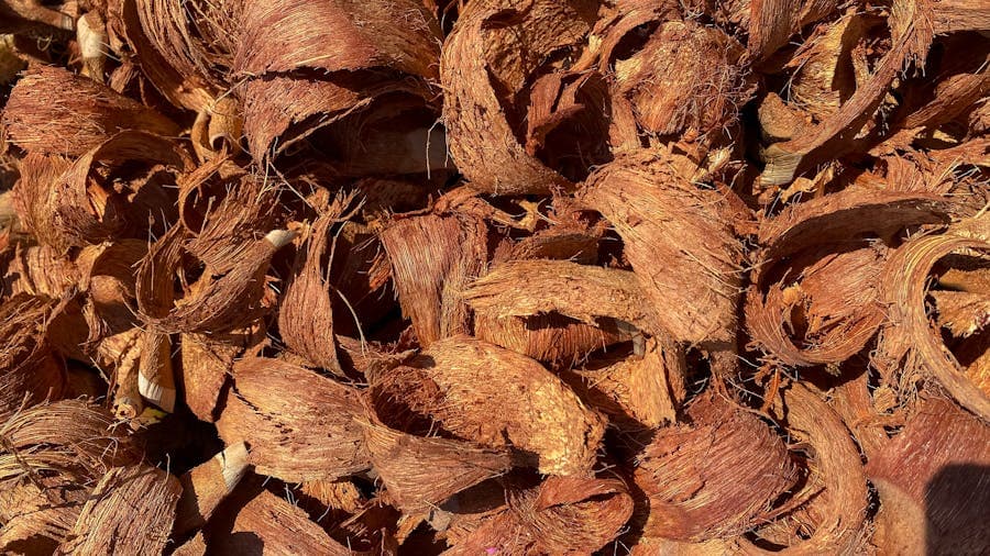 Coco Husk Chips