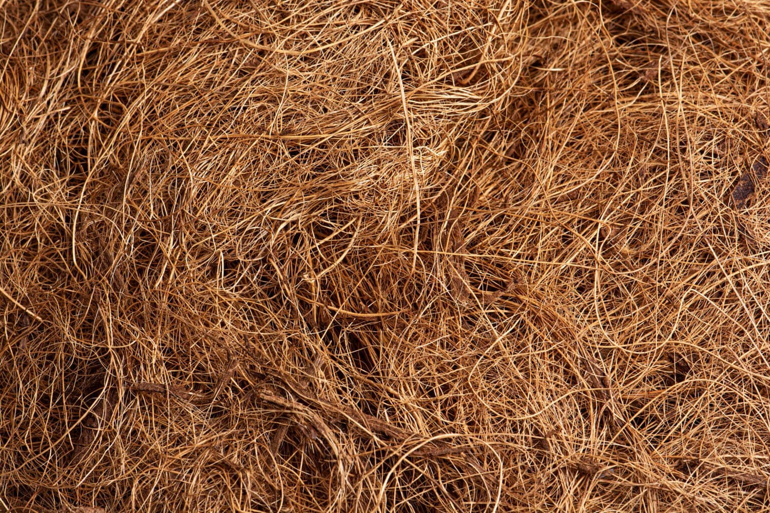 Coir Fibre