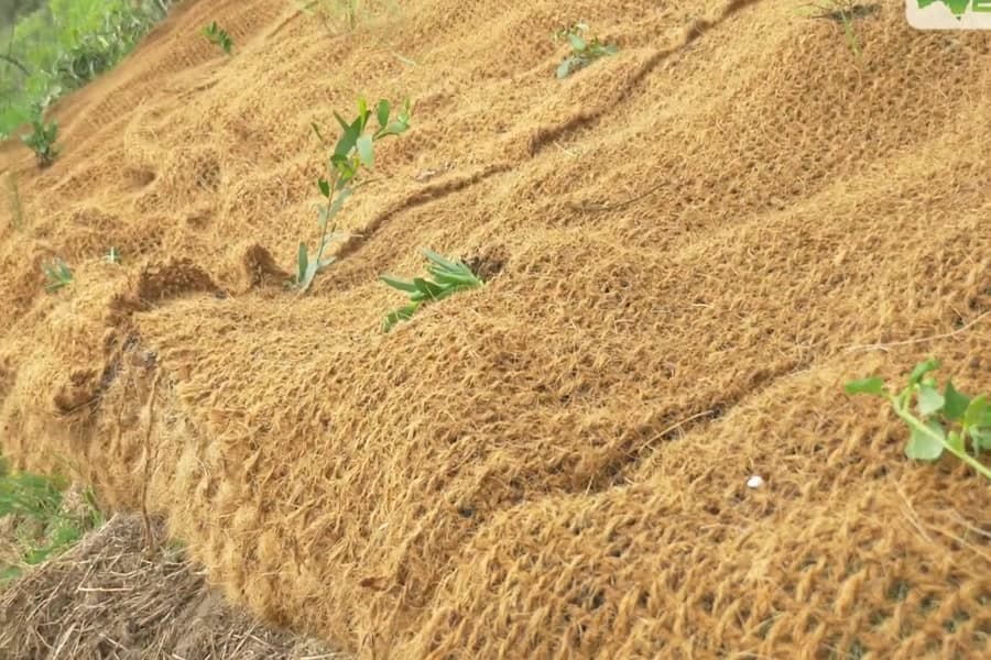 Coir Mats & Geo-textiles
