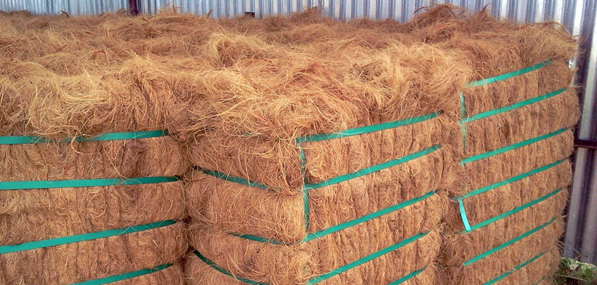 Coir Products for Gardening